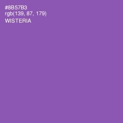 #8B57B3 - Wisteria Color Image