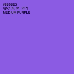 #8B5BE3 - Medium Purple Color Image