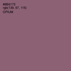 #8B6173 - Opium Color Image