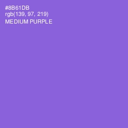 #8B61DB - Medium Purple Color Image