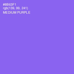 #8B63F1 - Medium Purple Color Image
