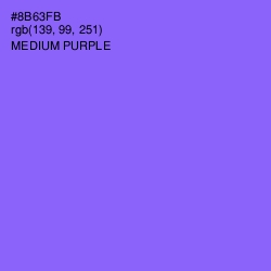 #8B63FB - Medium Purple Color Image