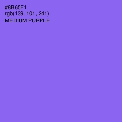 #8B65F1 - Medium Purple Color Image