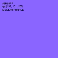 #8B65FF - Medium Purple Color Image