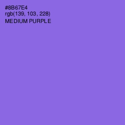 #8B67E4 - Medium Purple Color Image