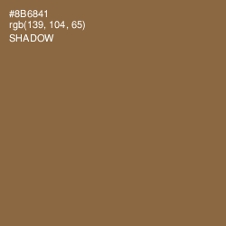 #8B6841 - Shadow Color Image