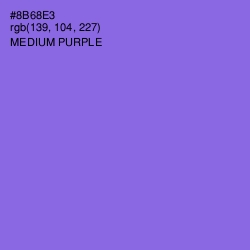 #8B68E3 - Medium Purple Color Image