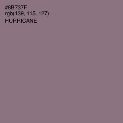 #8B737F - Hurricane Color Image