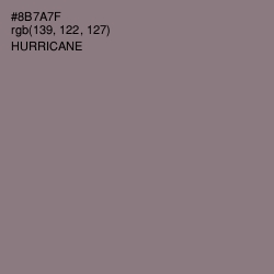 #8B7A7F - Hurricane Color Image