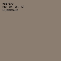 #8B7E70 - Hurricane Color Image