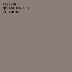 #8B7E79 - Hurricane Color Image
