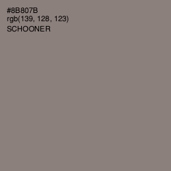 #8B807B - Schooner Color Image