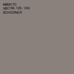 #8B817C - Schooner Color Image