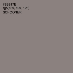 #8B817E - Schooner Color Image