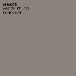 #8B837B - Schooner Color Image