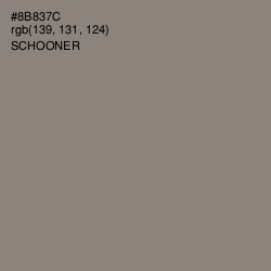 #8B837C - Schooner Color Image