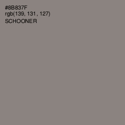 #8B837F - Schooner Color Image