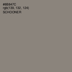 #8B847C - Schooner Color Image