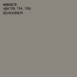 #8B867E - Schooner Color Image