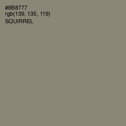 #8B8777 - Squirrel Color Image