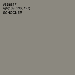#8B887F - Schooner Color Image