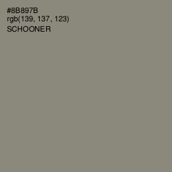 #8B897B - Schooner Color Image