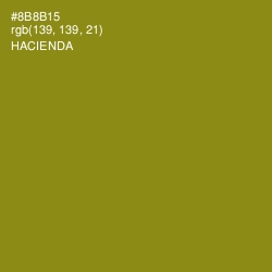 #8B8B15 - Hacienda Color Image
