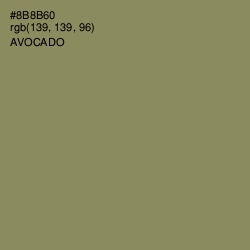 #8B8B60 - Avocado Color Image