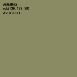 #8B8B63 - Avocado Color Image