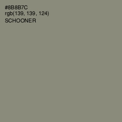 #8B8B7C - Schooner Color Image