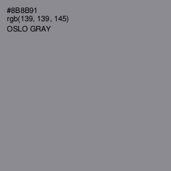 #8B8B91 - Oslo Gray Color Image