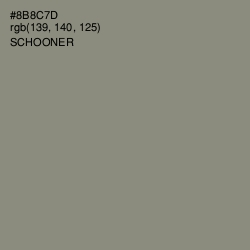#8B8C7D - Schooner Color Image