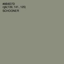 #8B8D7D - Schooner Color Image