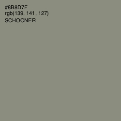 #8B8D7F - Schooner Color Image