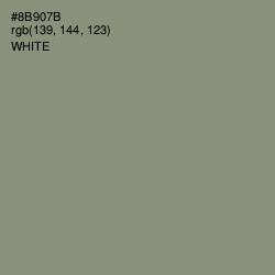 #8B907B - Granite Green Color Image