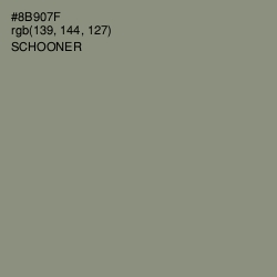 #8B907F - Schooner Color Image