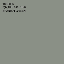 #8B9086 - Spanish Green Color Image