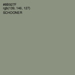 #8B927F - Schooner Color Image