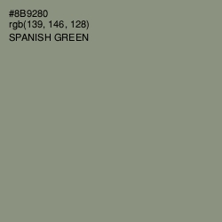 #8B9280 - Spanish Green Color Image