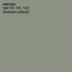 #8B9284 - Spanish Green Color Image