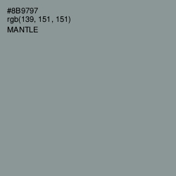 #8B9797 - Mantle Color Image