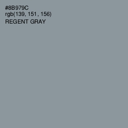 #8B979C - Regent Gray Color Image