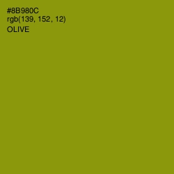 #8B980C - Olive Color Image