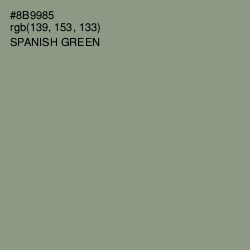 #8B9985 - Spanish Green Color Image
