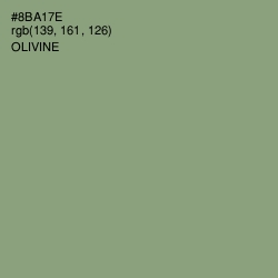 #8BA17E - Olivine Color Image
