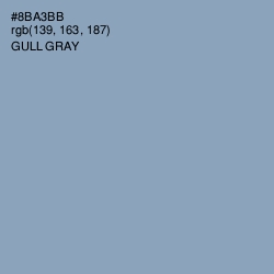 #8BA3BB - Gull Gray Color Image