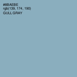 #8BAEBE - Gull Gray Color Image