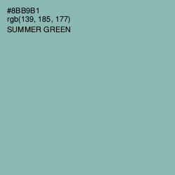 #8BB9B1 - Summer Green Color Image