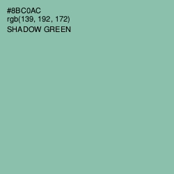 #8BC0AC - Shadow Green Color Image
