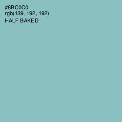 #8BC0C0 - Half Baked Color Image
